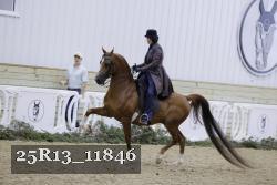 25R13_11846 thumbnail