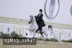 25R13_11847 thumbnail