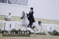 25R13_11848 thumbnail