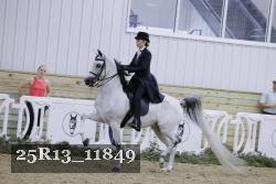25R13_11849 thumbnail