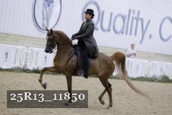 25R13_11850 thumbnail