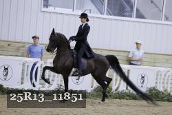 25R13_11851 thumbnail