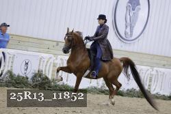 25R13_11852 thumbnail