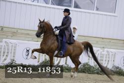 25R13_11853 thumbnail
