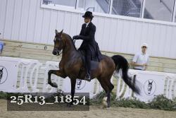 25R13_11854 thumbnail