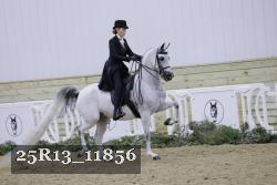 25R13_11856 thumbnail