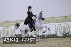 25R13_11857 thumbnail