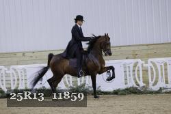 25R13_11859 thumbnail