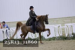 25R13_11860 thumbnail