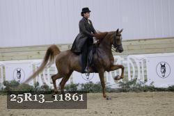 25R13_11861 thumbnail