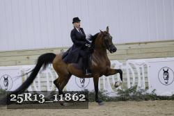 25R13_11862 thumbnail