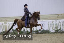 25R13_11863 thumbnail