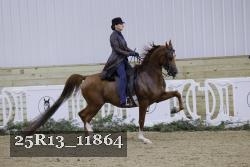 25R13_11864 thumbnail