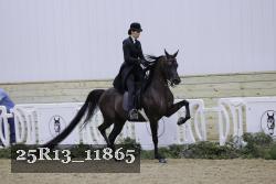 25R13_11865 thumbnail