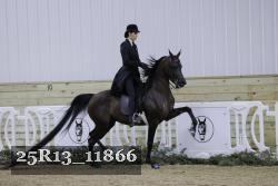 25R13_11866 thumbnail