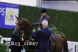 25R13_11867 thumbnail
