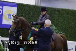25R13_11868 thumbnail