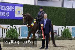 25R13_11871 thumbnail