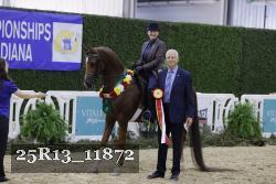 25R13_11872 thumbnail