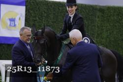 25R13_11873 thumbnail