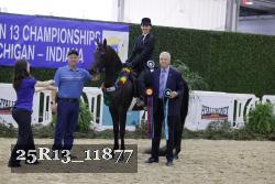 25R13_11877 thumbnail