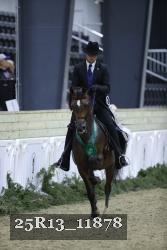 25R13_11878 thumbnail