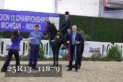 25R13_11879 thumbnail