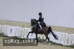 25R13_11883 thumbnail