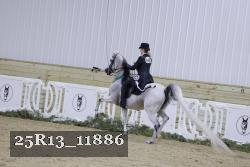 25R13_11886 thumbnail