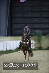 25R13_11888 thumbnail