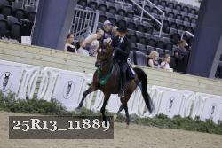 25R13_11889 thumbnail