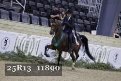25R13_11890 thumbnail