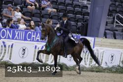 25R13_11892 thumbnail