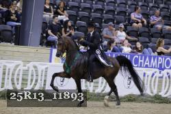 25R13_11893 thumbnail