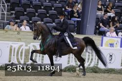 25R13_11894 thumbnail
