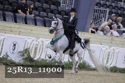 25R13_11900 thumbnail