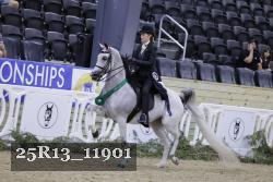 25R13_11901 thumbnail