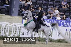25R13_11902 thumbnail