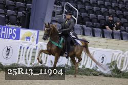 25R13_11904 thumbnail