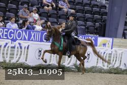 25R13_11905 thumbnail