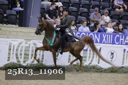 25R13_11906 thumbnail