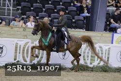 25R13_11907 thumbnail