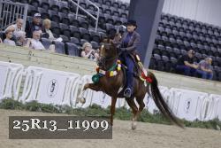 25R13_11909 thumbnail