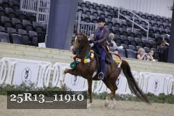 25R13_11910 thumbnail