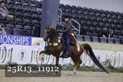 25R13_11912 thumbnail