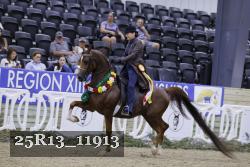 25R13_11913 thumbnail