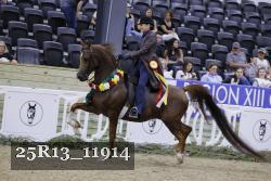 25R13_11914 thumbnail