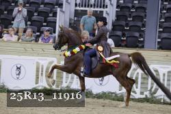 25R13_11916 thumbnail