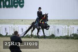 25R13_11919 thumbnail