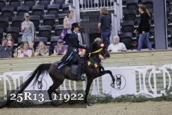 25R13_11922 thumbnail
